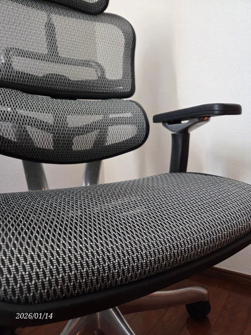 Ergohumanエルゴヒューマンプロハイタイプ/エラストメリックメッシュ GR