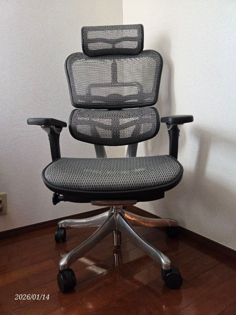 Ergohumanエルゴヒューマンプロハイタイプ/エラストメリックメッシュ GR