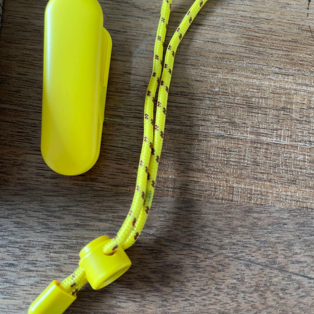 【再お値下げ】Pokémon GO Plus ポケモン　ゴー　プラス　2個セット