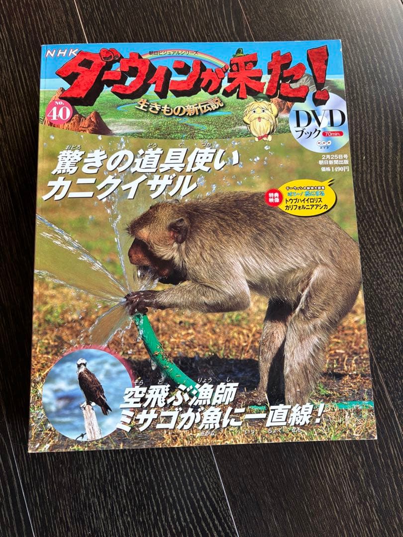 NHKダーウィンが来た! 生きもの新伝説 DVDブック　1～50巻フルセット