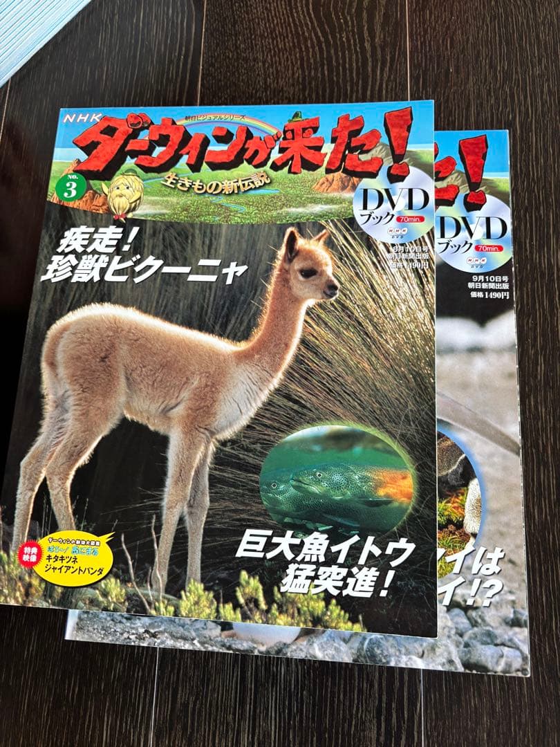 NHKダーウィンが来た! 生きもの新伝説 DVDブック　1～50巻フルセット
