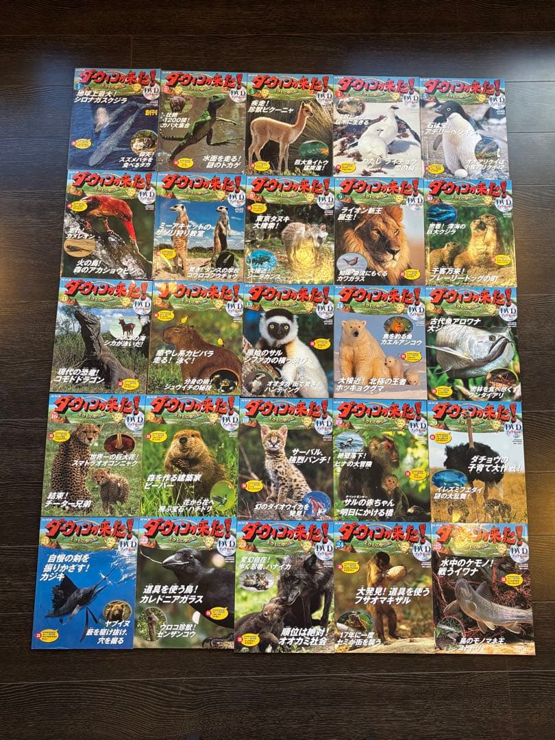 NHKダーウィンが来た! 生きもの新伝説 DVDブック　1～50巻フルセット