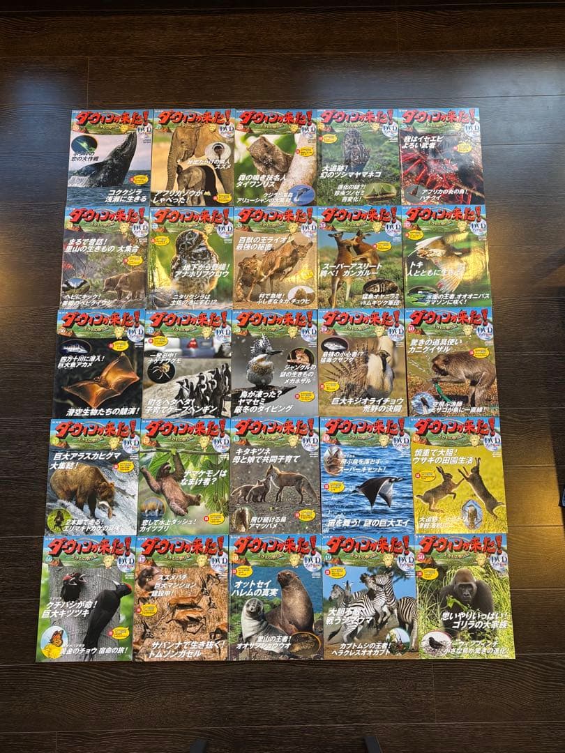 NHKダーウィンが来た! 生きもの新伝説 DVDブック　1～50巻フルセット