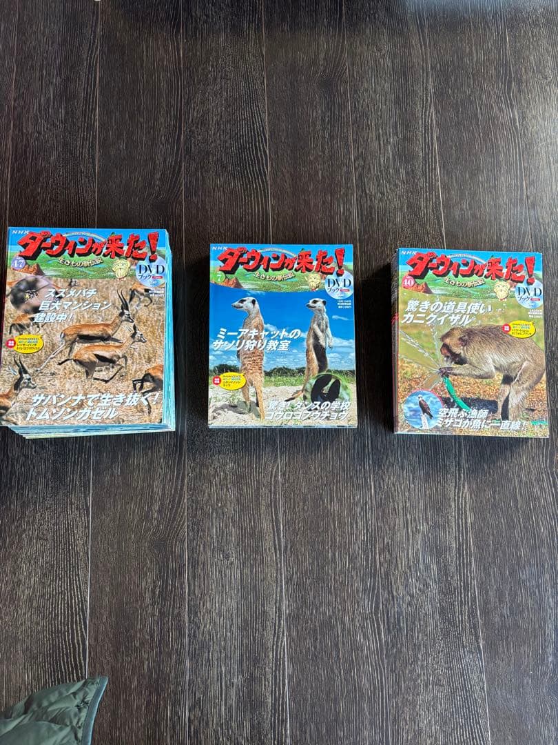 NHKダーウィンが来た! 生きもの新伝説 DVDブック　1～50巻フルセット