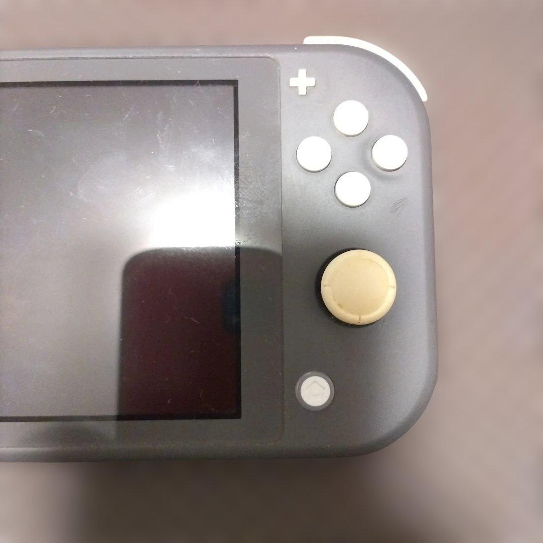 Nintendo Switch Lite グレー アダプター付き　液晶画面要確認