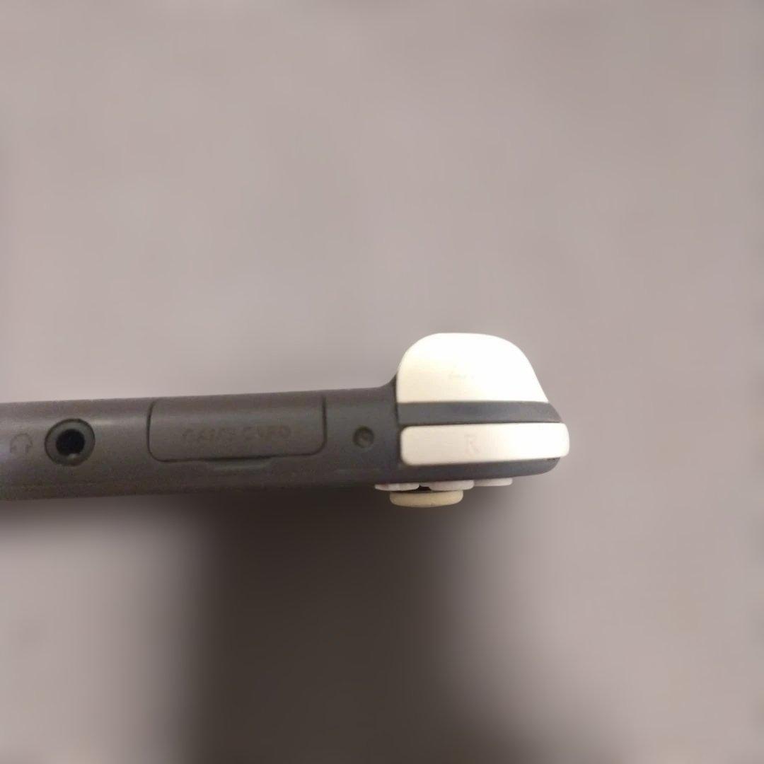 Nintendo Switch Lite グレー アダプター付き　液晶画面要確認