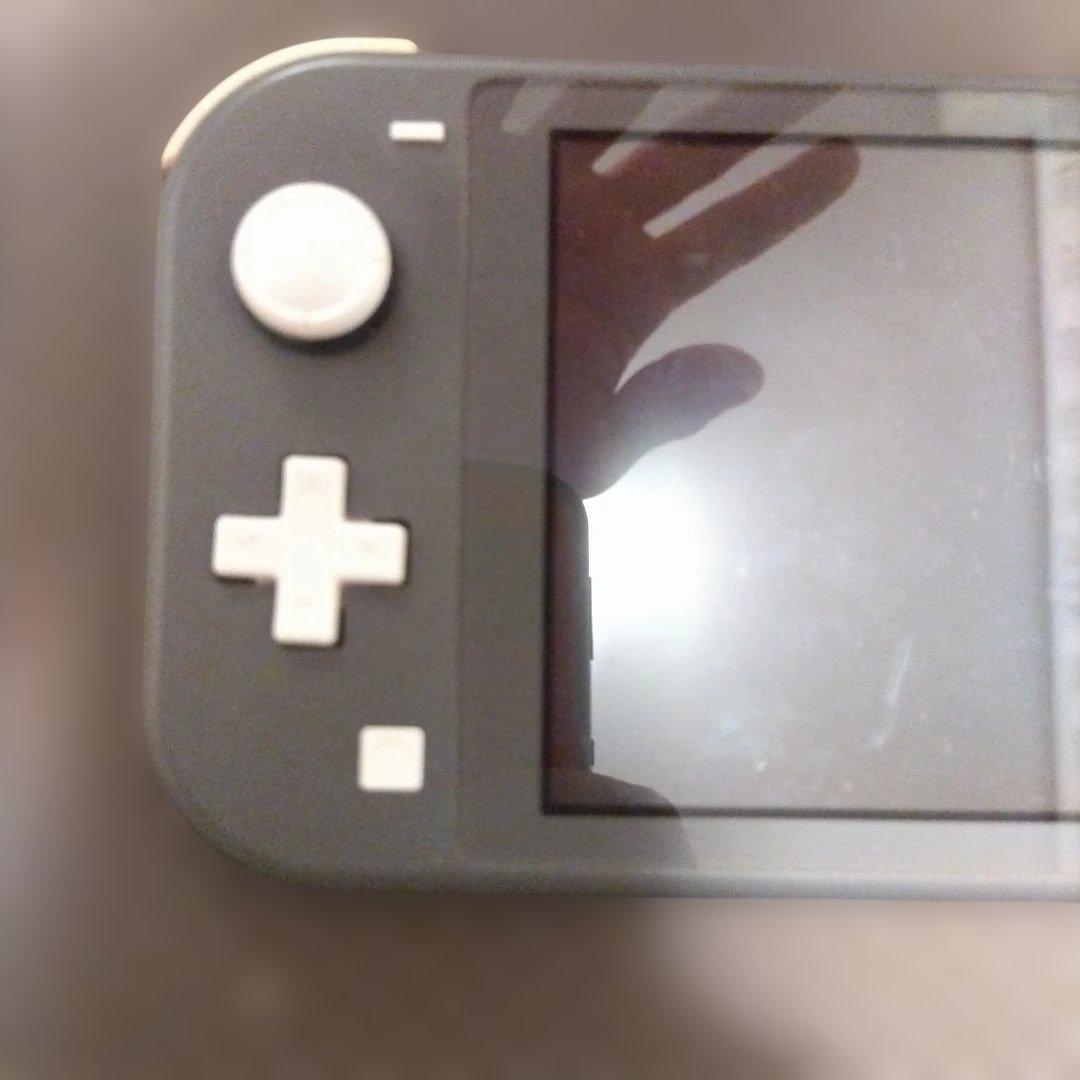 Nintendo Switch Lite グレー アダプター付き　液晶画面要確認
