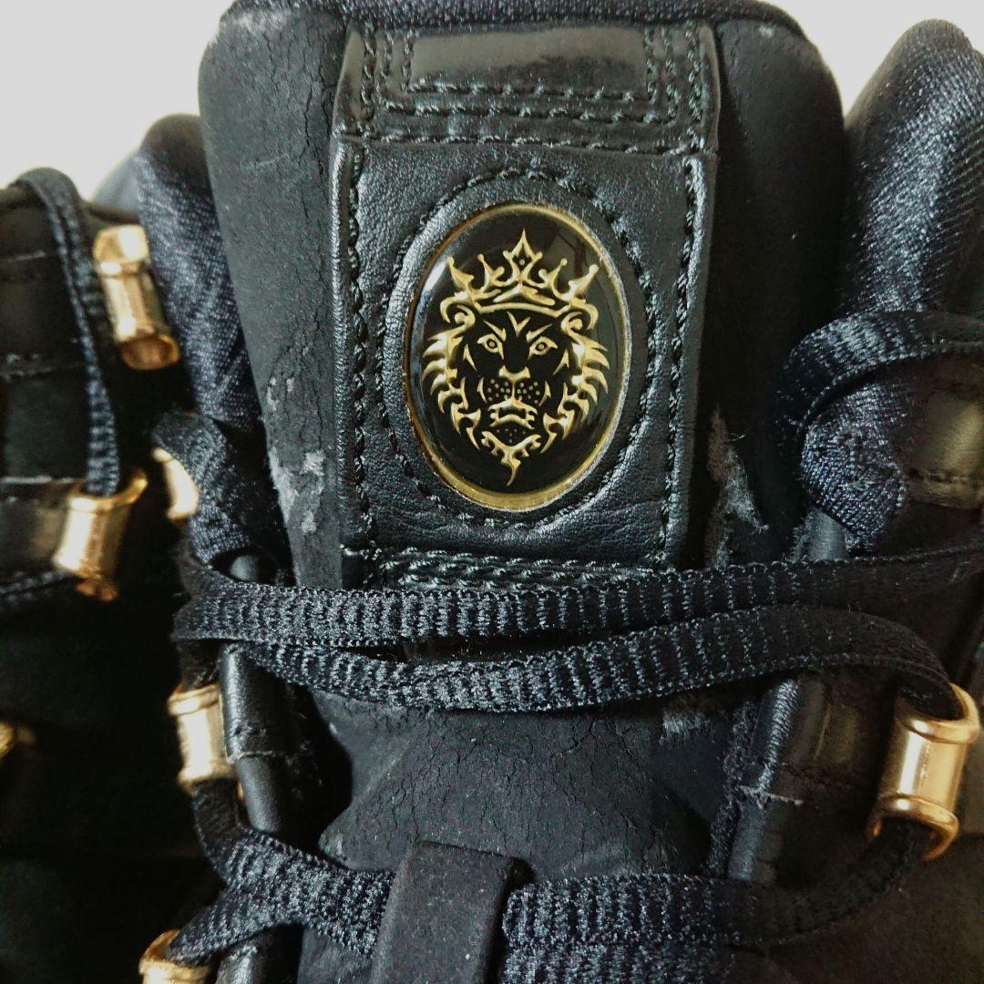 【希少】NIKE Zoom LeBron 3llic Gold シューズ