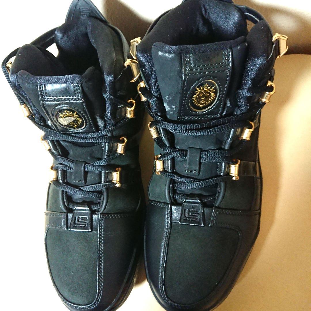 【希少】NIKE Zoom LeBron 3llic Gold シューズ