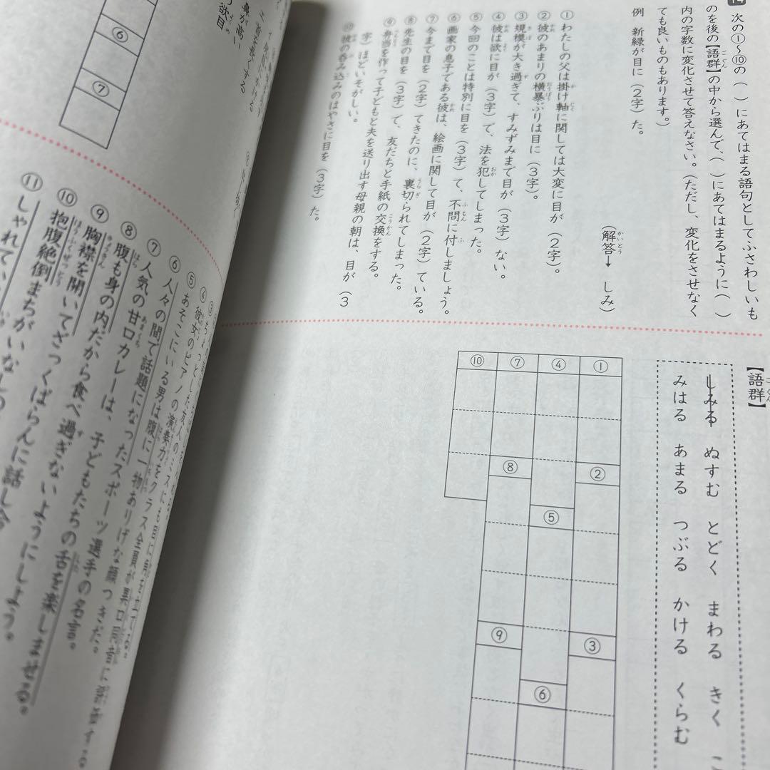 19-17か　重要教材　サピックス　SAPIX 言葉ナビ 上巻・下巻　未記入❣️
