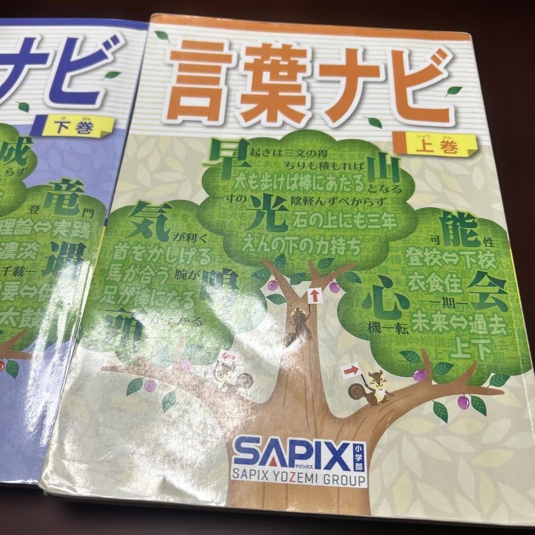 19-17か　重要教材　サピックス　SAPIX 言葉ナビ 上巻・下巻　未記入❣️