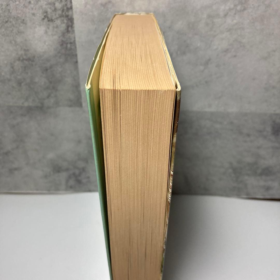 虹へのさすらいの旅 芝田勝茂 和田慎二　福音館書店