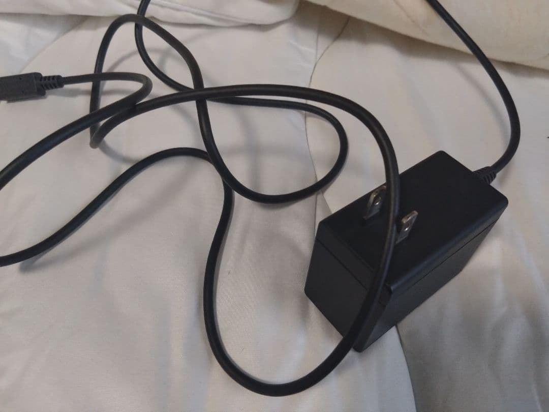 Nintendo Switch Lite ターコイズ 本体 充電器・ケース付き