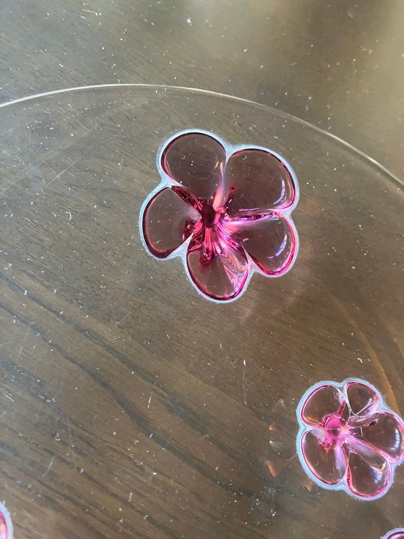 カメリア：プレート (23cm) ワインレッド. スガハラ　Sghr 5枚