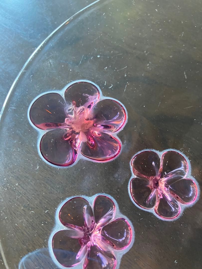 カメリア：プレート (23cm) ワインレッド. スガハラ　Sghr 5枚