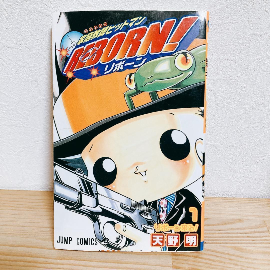 家庭教師ヒットマン REBORN リボーン 全42巻＋関連本6冊 天野明 集英社