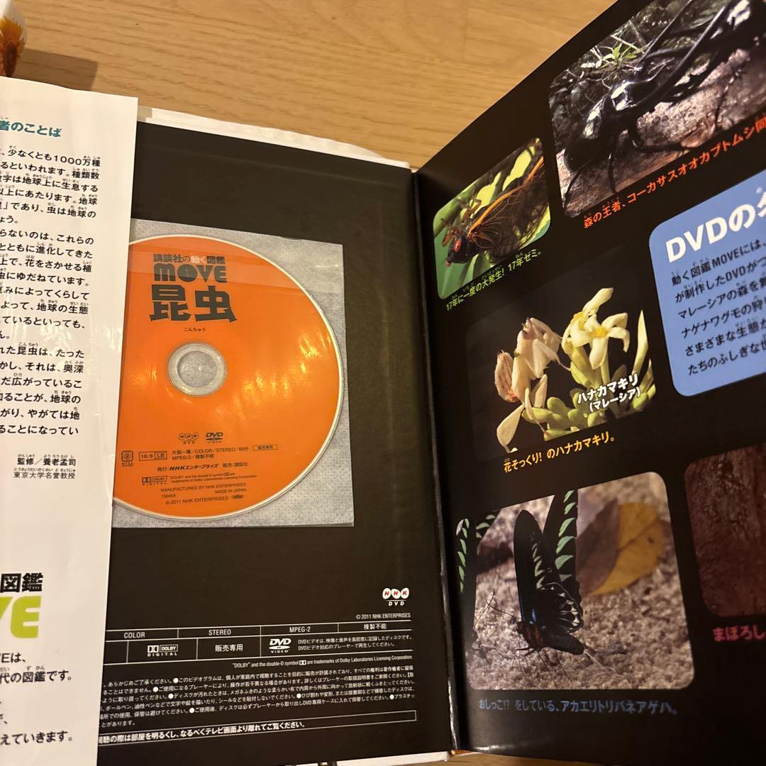 講談社の動く図鑑move(ムーブ) 全11冊セット　全巻DVD付　恐竜2 昆虫