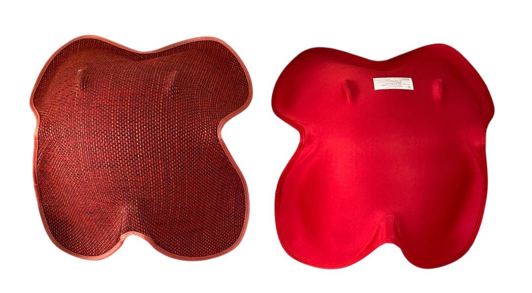 MTG ボディメイクシート 2脚セット