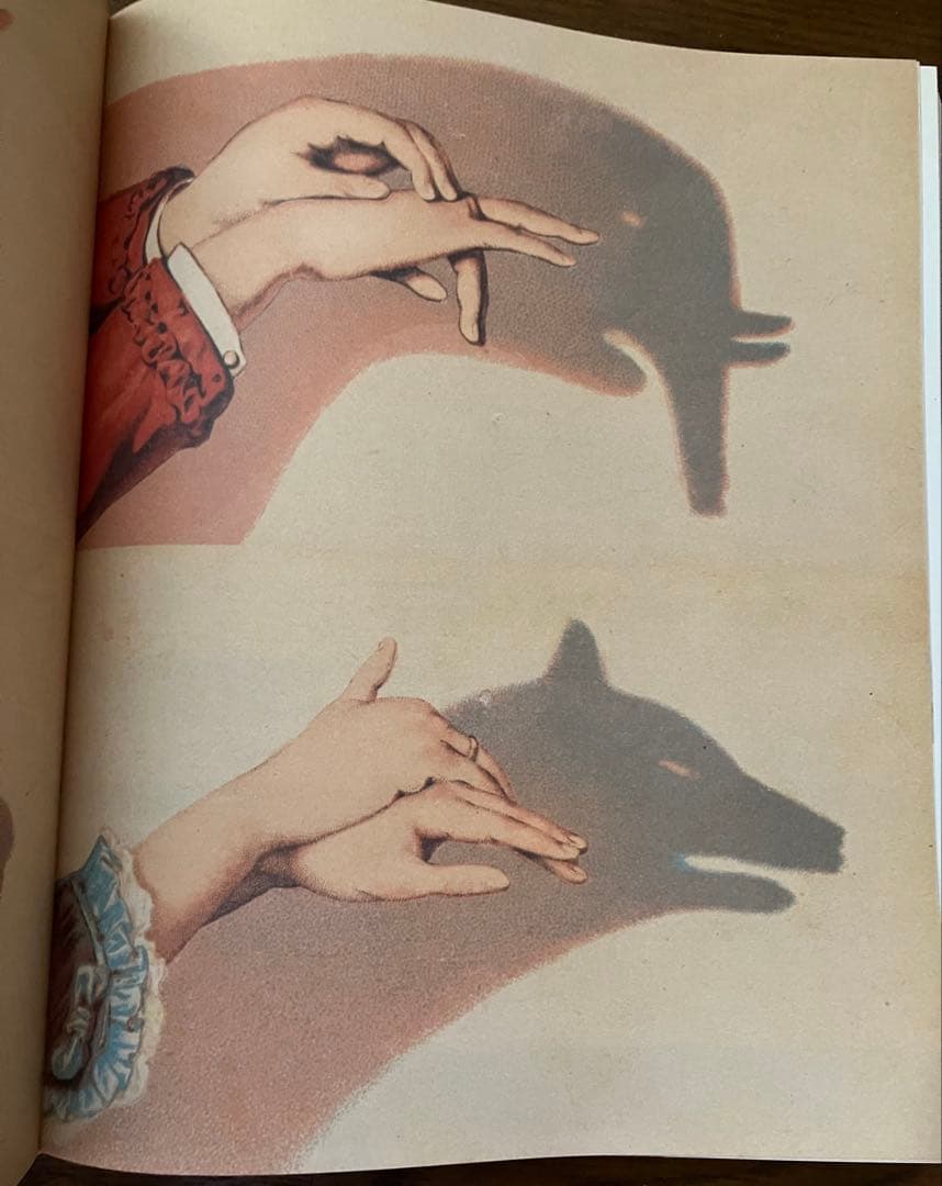 ジョンデリアン ピクチャーブック