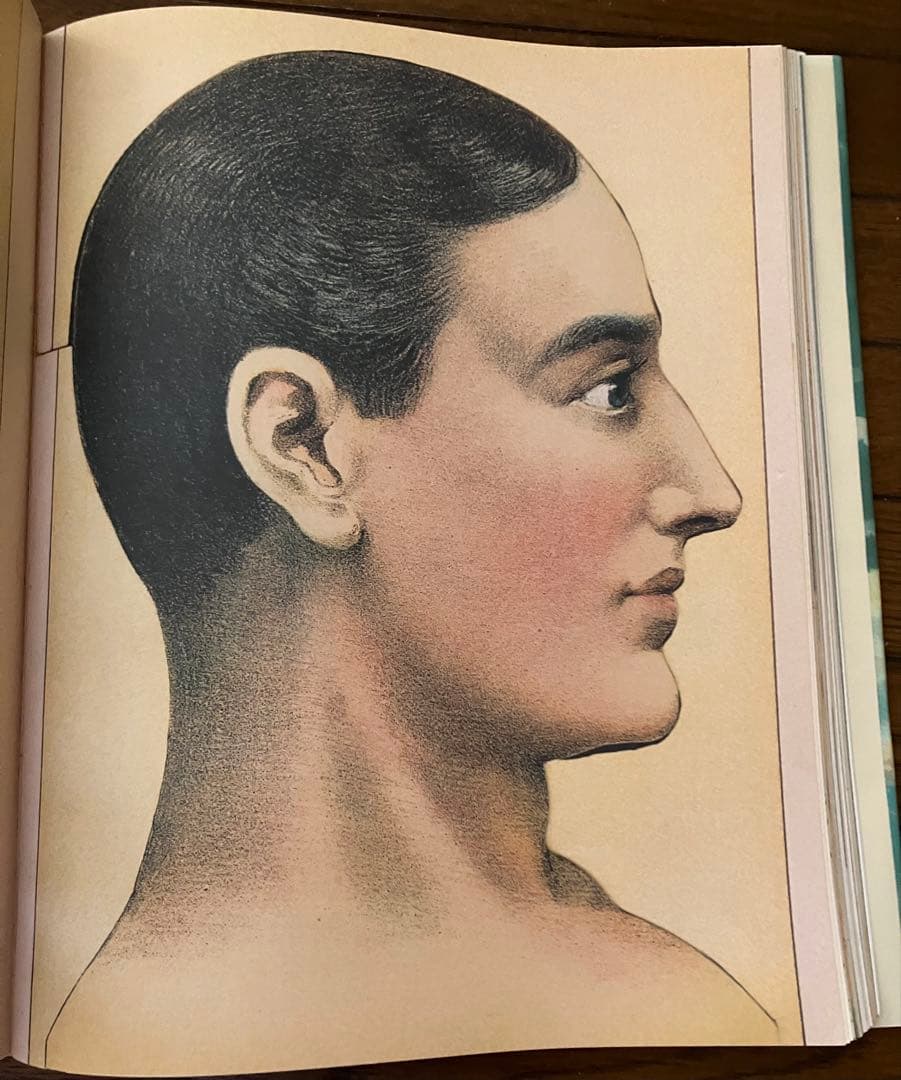 ジョンデリアン ピクチャーブック