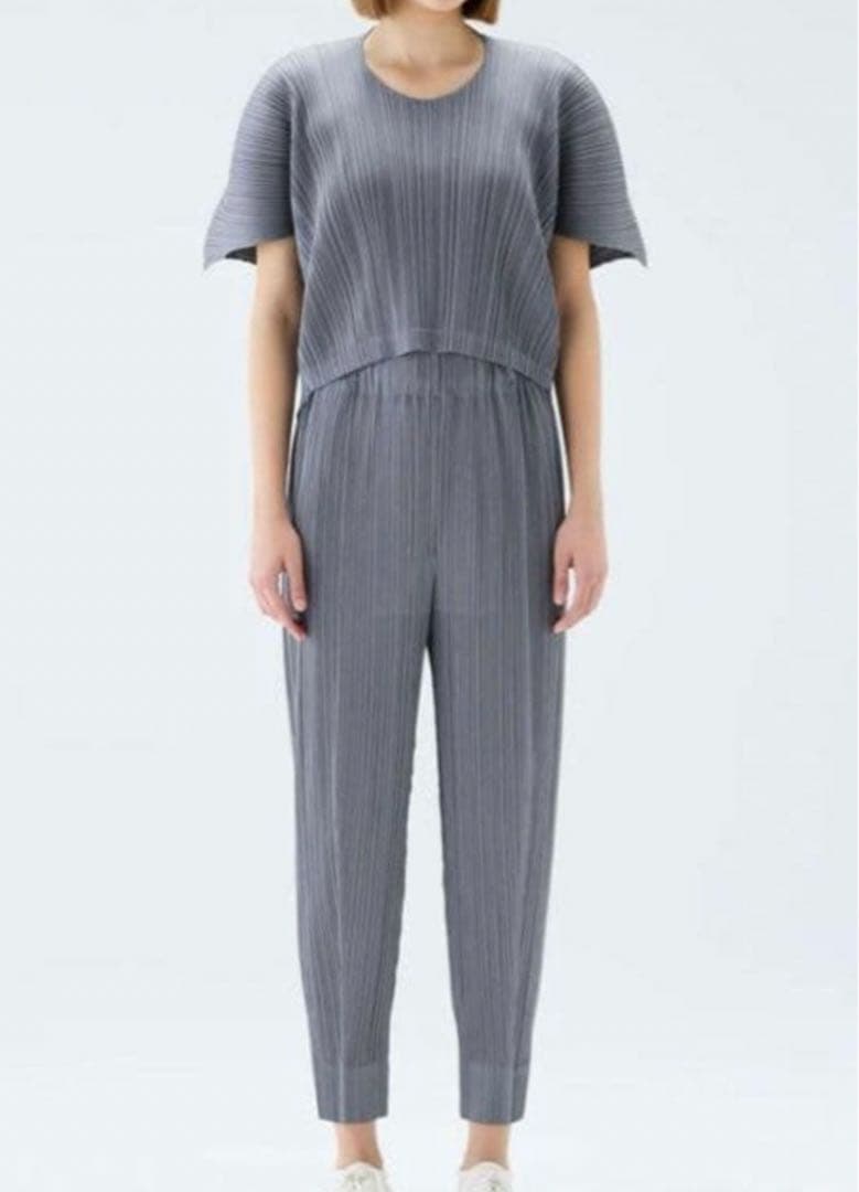 プリーツプリーズ　グレー　パンツ　美品　24/AW SPACE ROCK