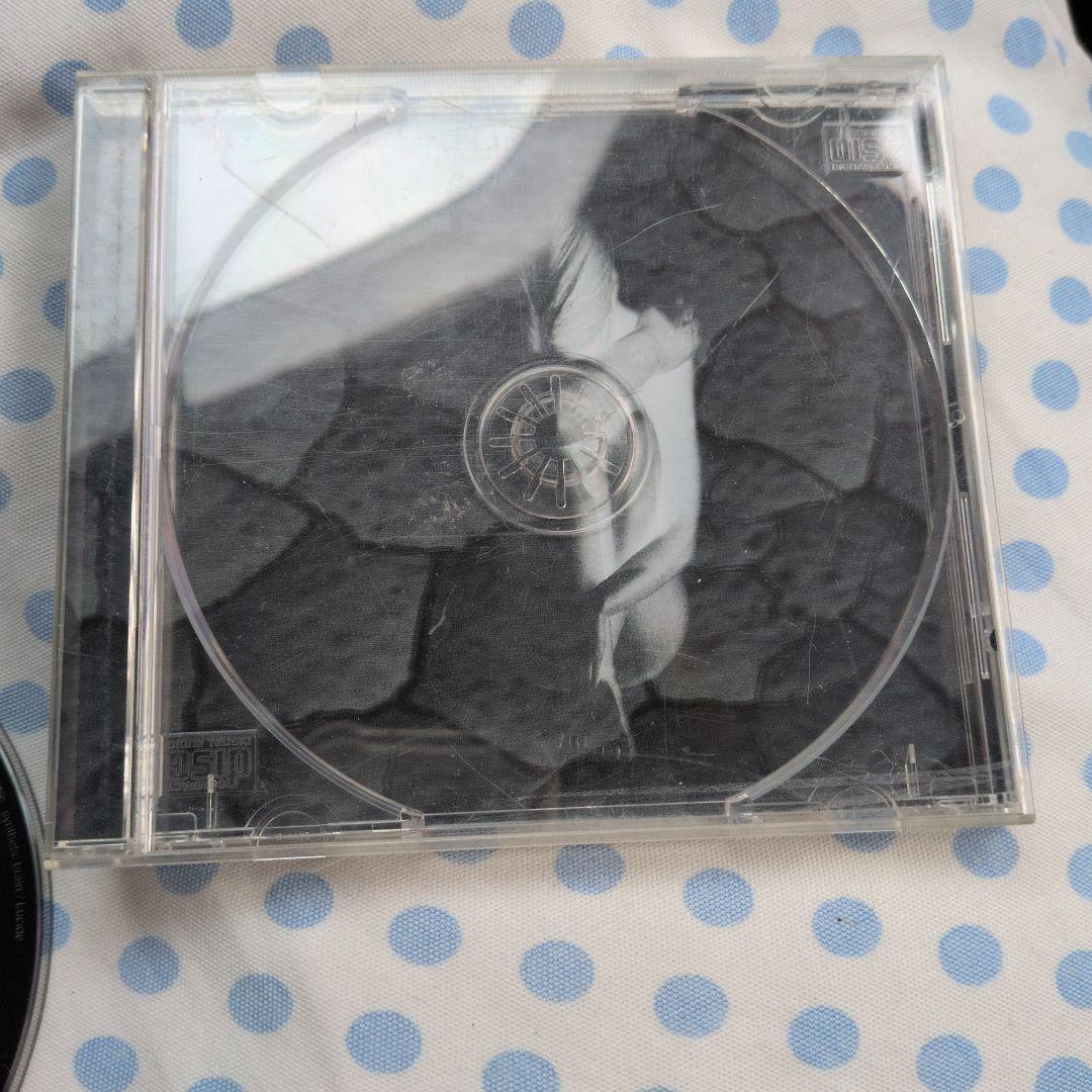 邦楽 Lucide synthetic brain AMCM-4336