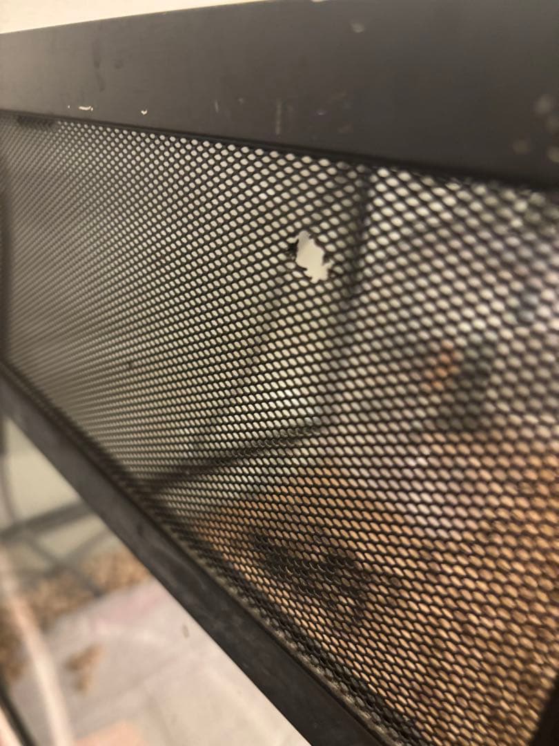 三晃商会 SANKO パンテオン ブラック BK9045 ワイルドモンスター