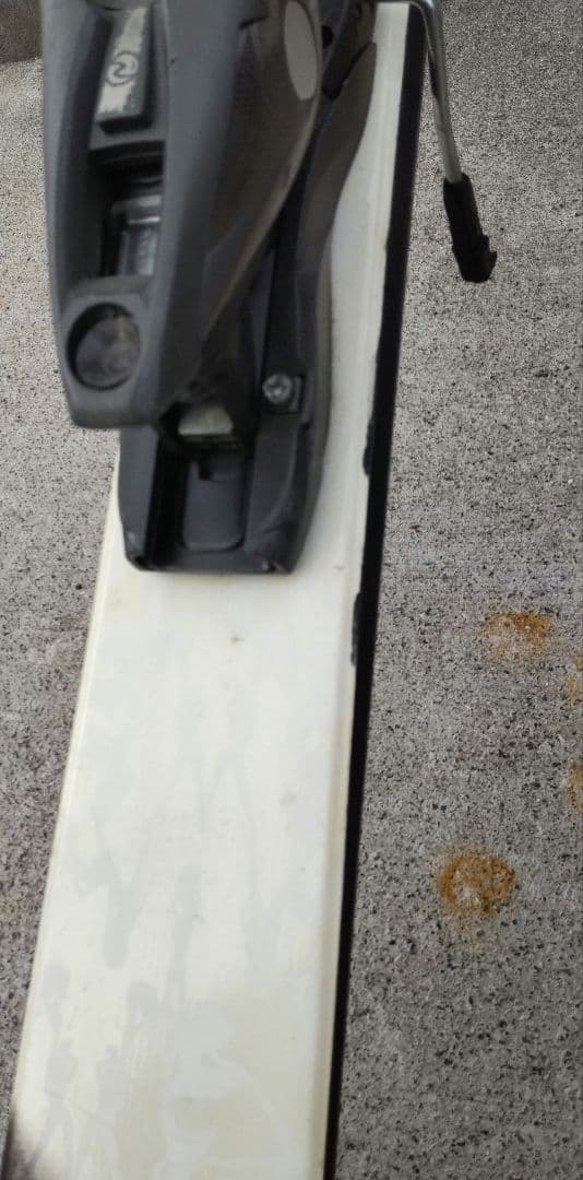 ロシニョール　スクラッチ　ツインチップ　167cm