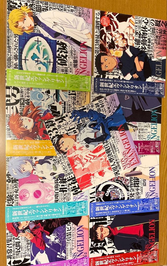 新世紀エヴァンゲリオン LD 劇場版 BOX ＋ TVシリーズ 14枚 完全版