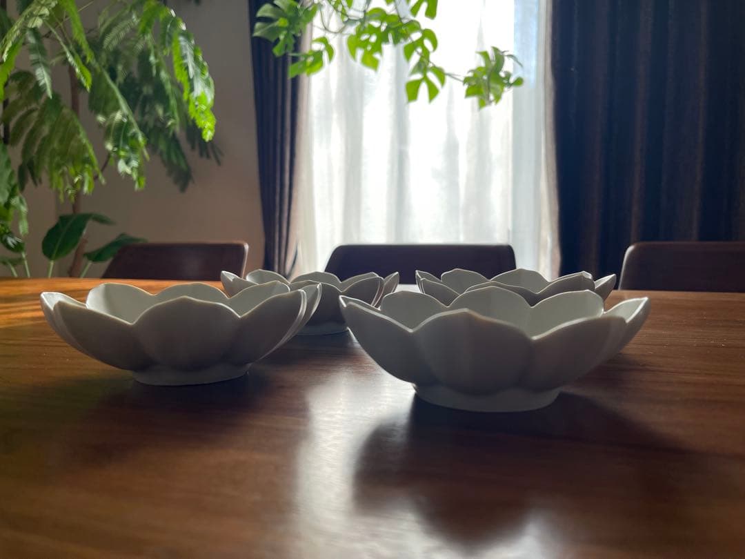 臼杵焼 稜花小鉢 白 White 4枚セット