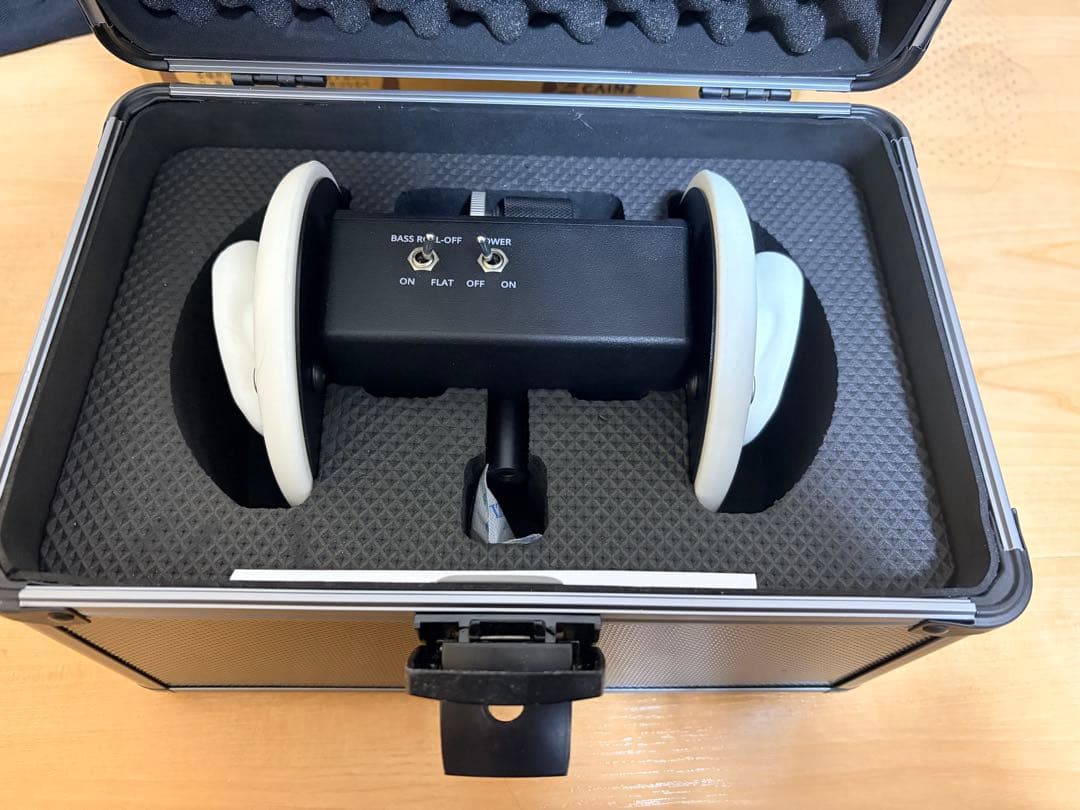 3DIO FS バイノーラルマイクロフォン