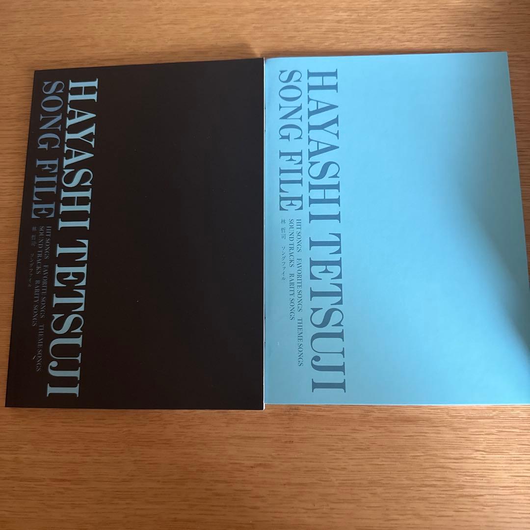 林哲司／HAYASHI TETSUJI SONG FILE