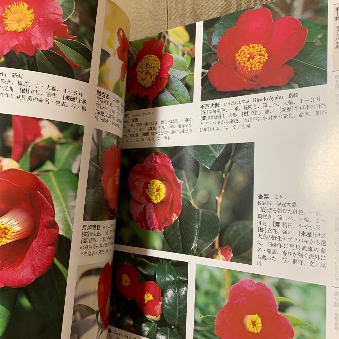 最新日本ツバキ図鑑