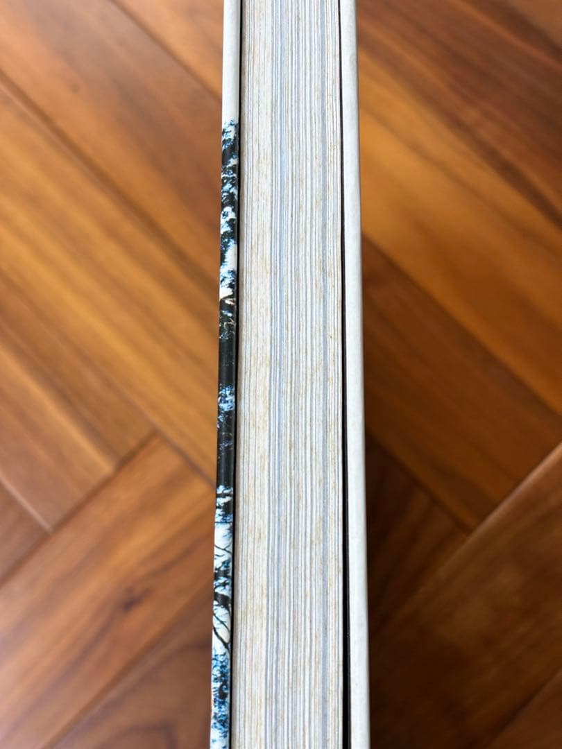 My Freedamn マイフリーダム 田中凛太郎　サイン有り