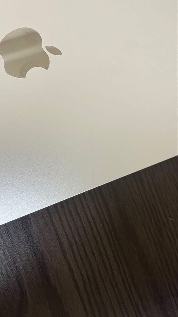 iPad Pro 第4世代 11インチ 256GB美品 電池98％