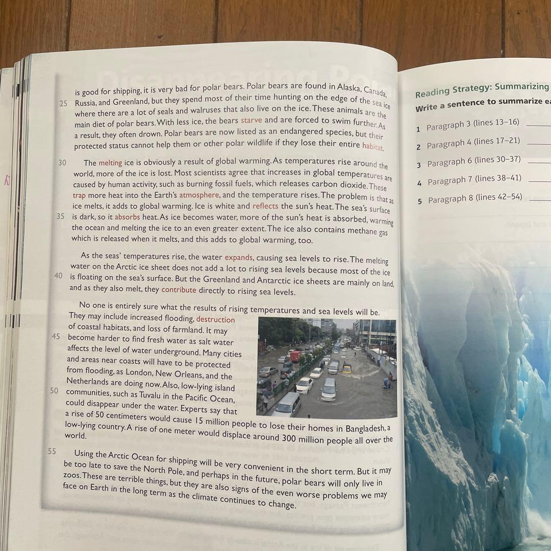 語学・辞書・学習参考書 reading and vocabulary development