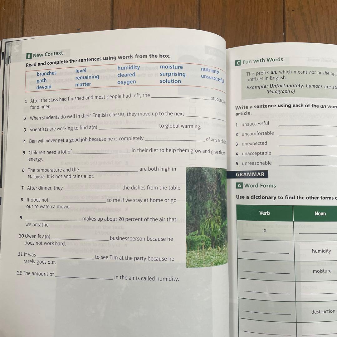 語学・辞書・学習参考書 reading and vocabulary development