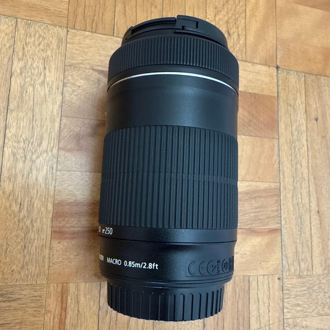 Canon EF-S 55-250mm F4-5.6 IS STM(ジャンク品)