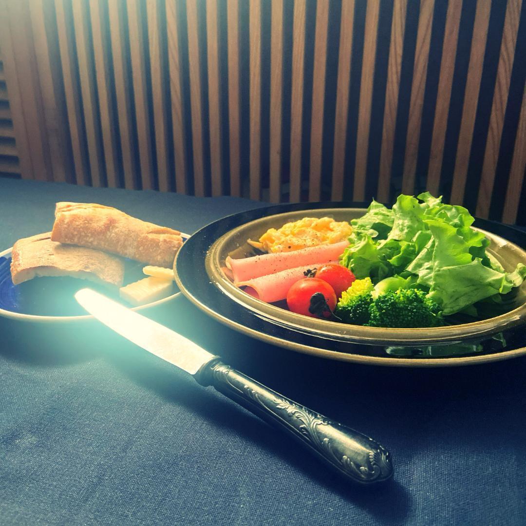 ◆専用◆ ARABIA コスモス Φ25 日常使い ディナープレート 2枚