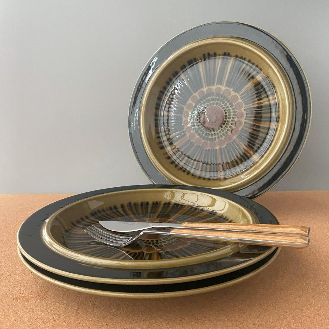 ◆専用◆ ARABIA コスモス Φ25 日常使い ディナープレート 2枚