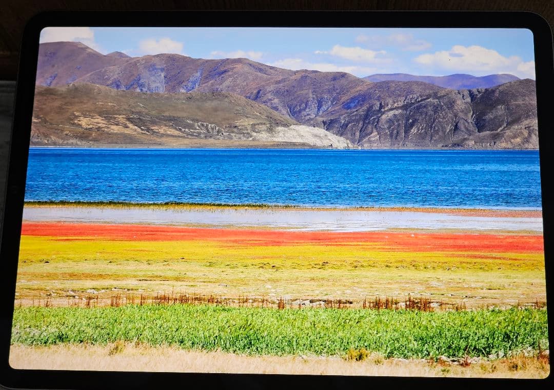 N*o様 iPad Pro 2021 M1 11インチ 128GB スペースグレ