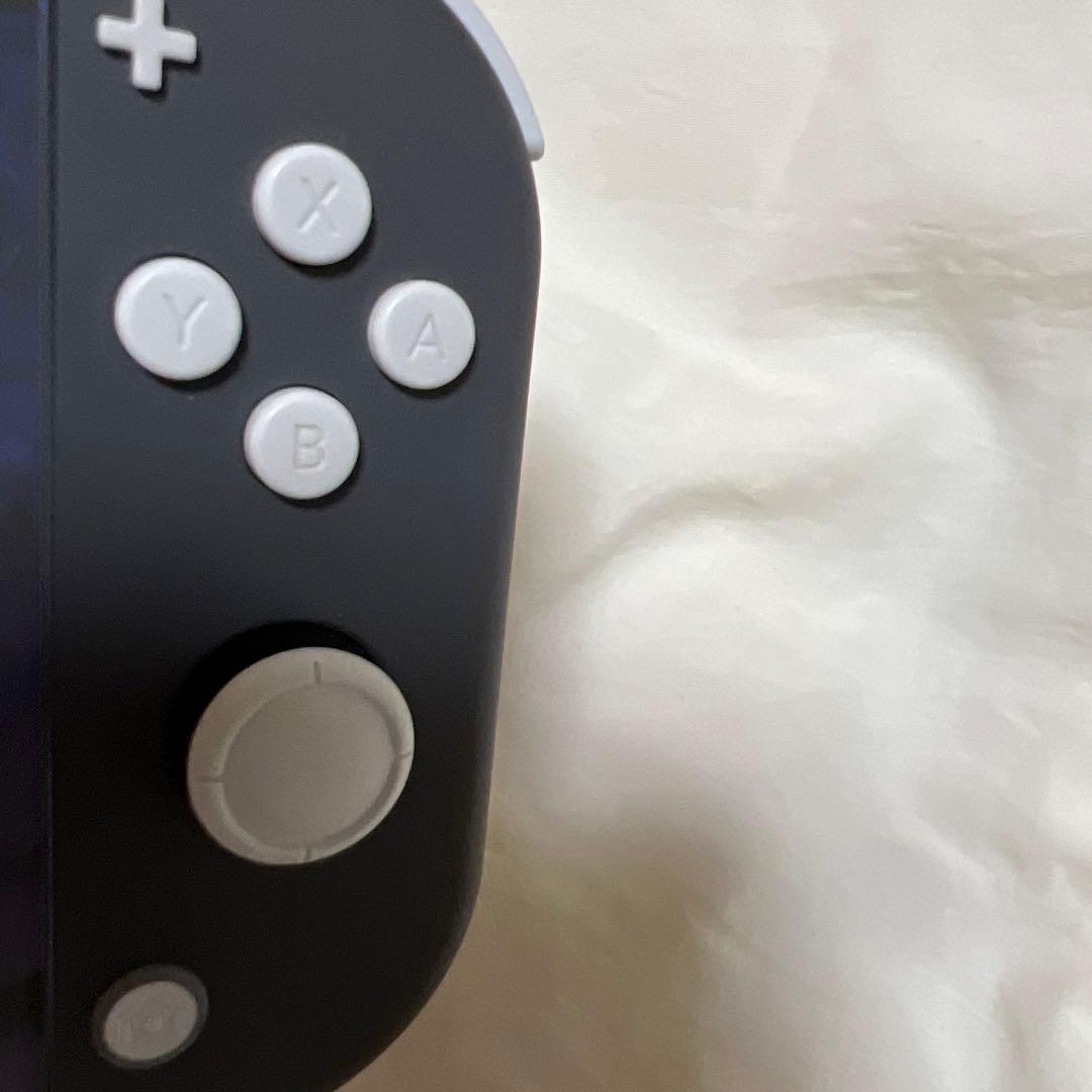 Nintendo Switch Lite グレー 本体+収納ケース付き