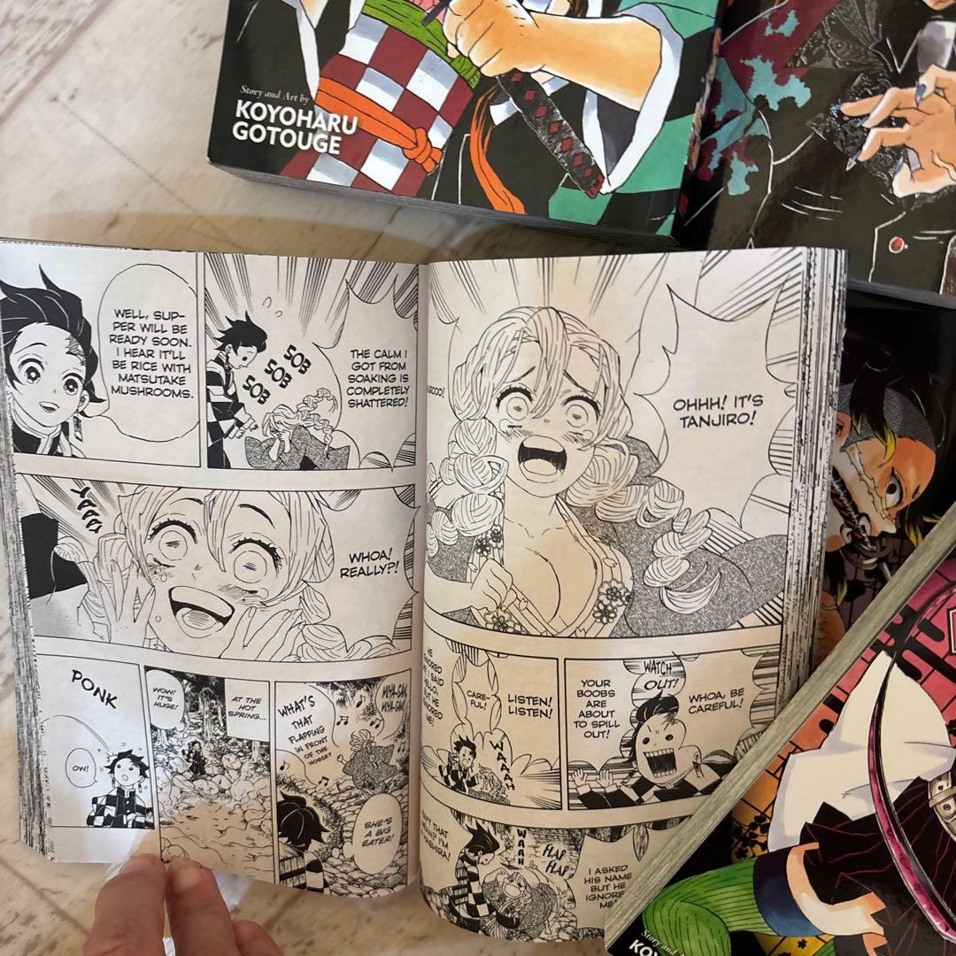 11巻、16巻抜け　DEMON SLAYER 鬼滅の刃　英語版