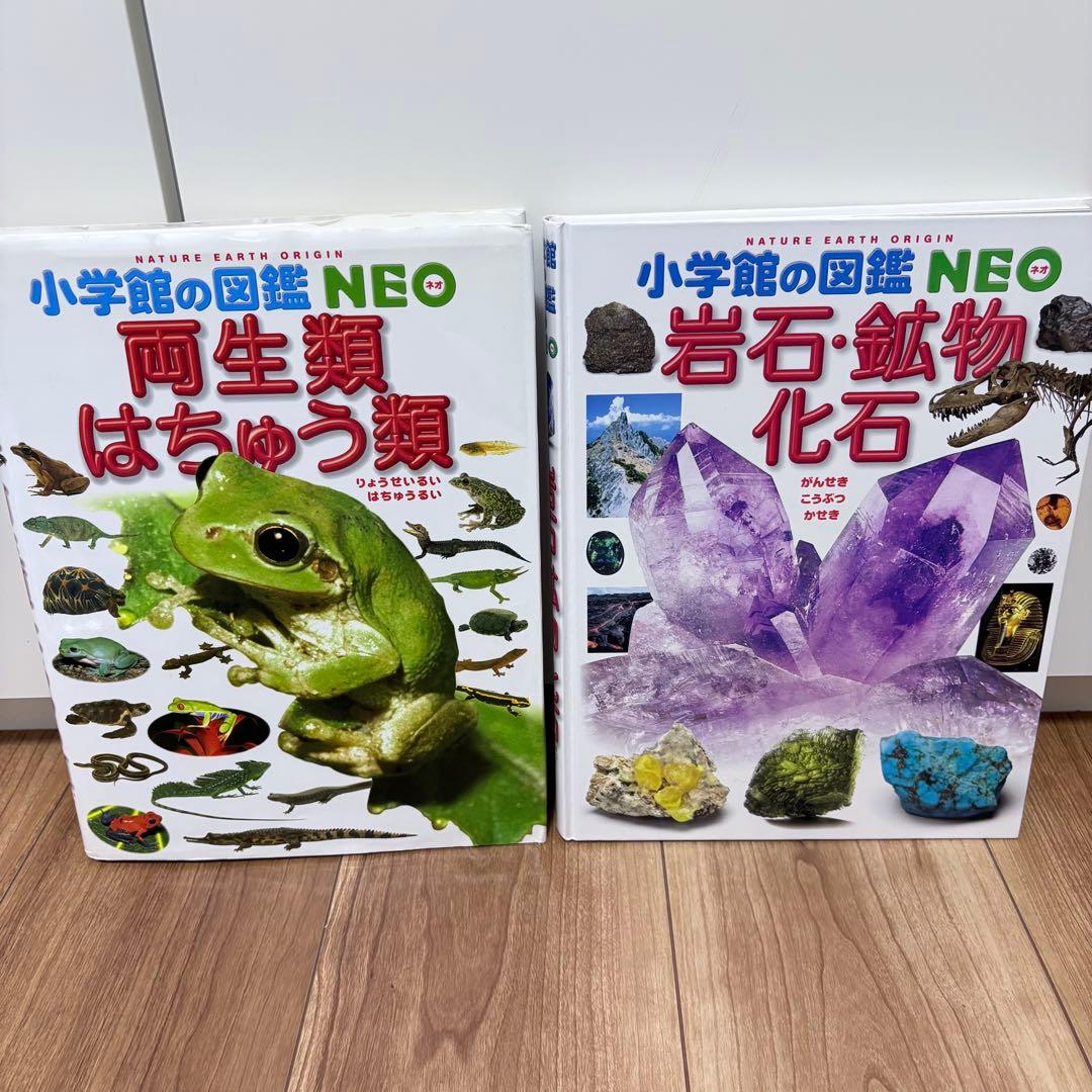 ★15冊セット★小学館の図鑑NEO + move