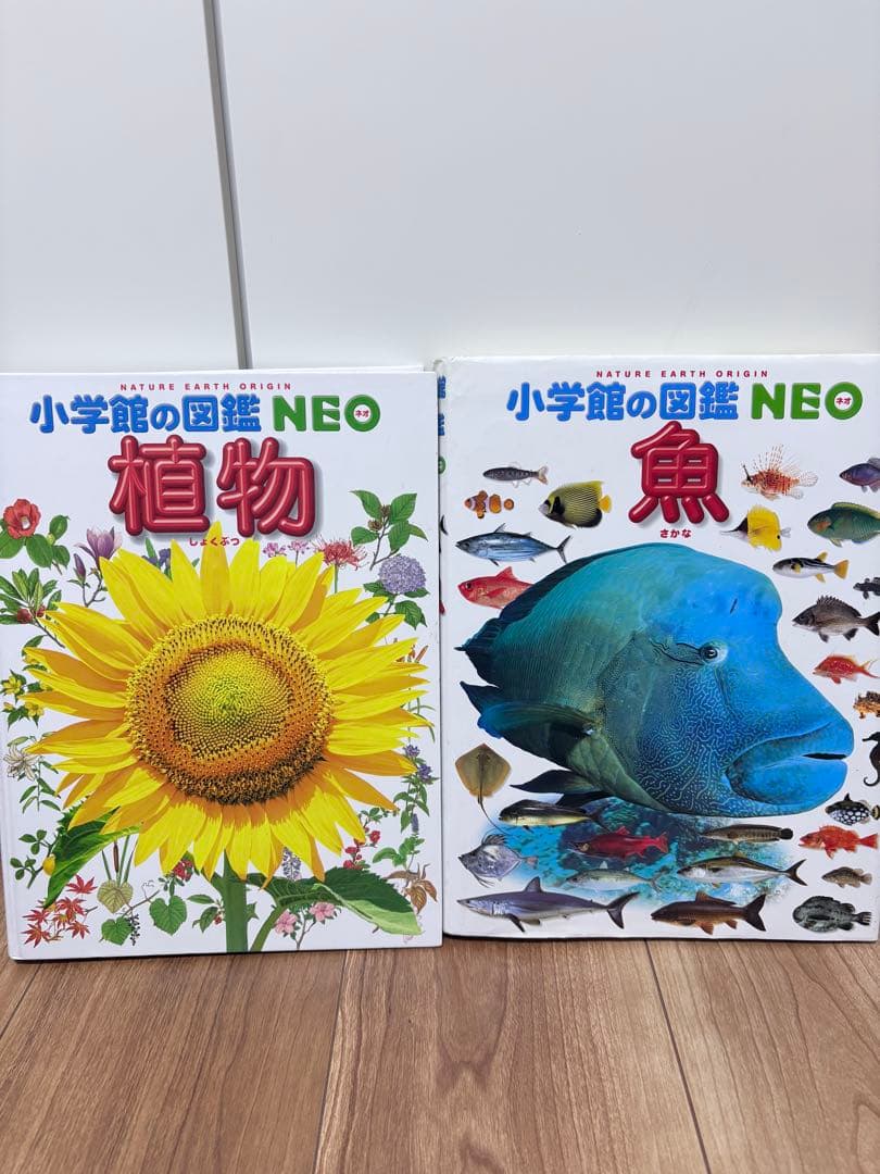 ★15冊セット★小学館の図鑑NEO + move