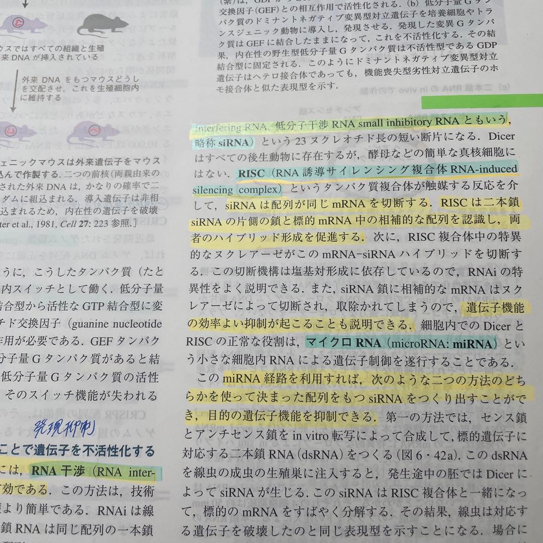 分子細胞生物学　ローディッシュ