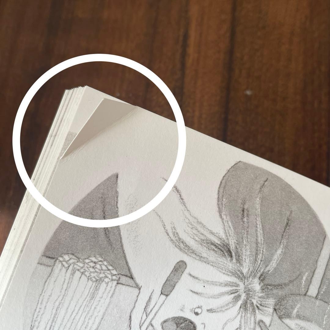 おばけのアッチ　おばけのソッチ　小さなおばけ　24冊