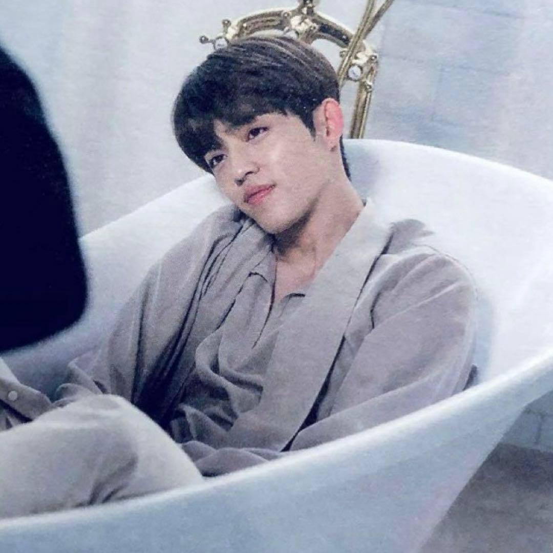 SEVENTEEN the saem ポラロイド チェキ トレカ エスクプス