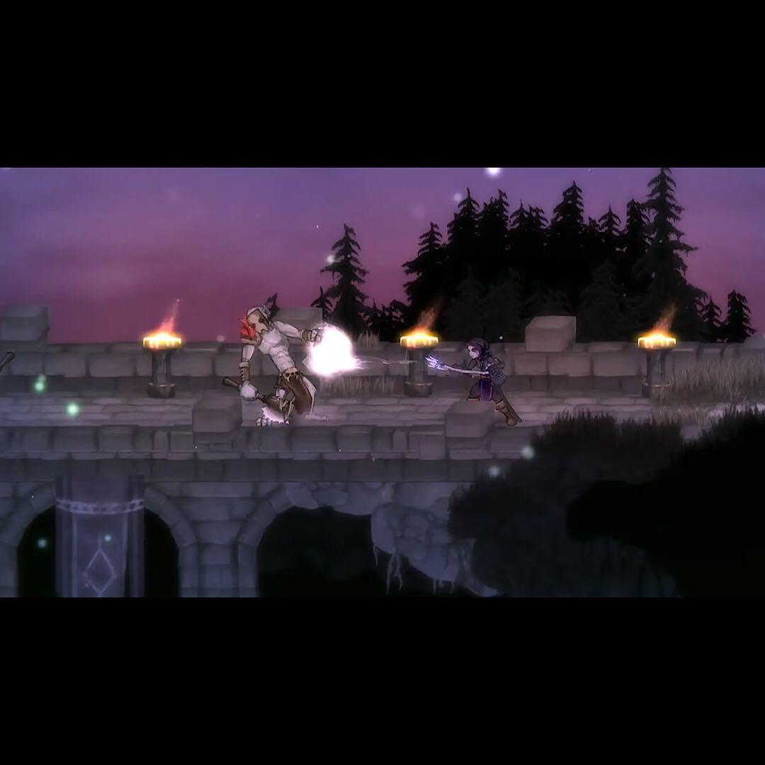 Nintendo Switch Salt and Sanctuary Salt and Sacrifice