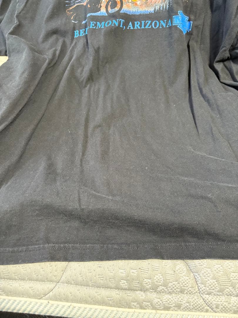 ハーレーダビッドソン ロンT スリーブロゴ ファイヤーパターン